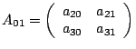 $A_{01}=\left(\begin{array}{cc}
a_{20} & a_{21}\\
a_{30} & a_{31}\end{array}\right)$